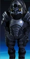 Guardian h.png