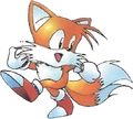Tails 24