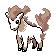 Ponyta oro variocolor