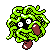 Tangela oro variocolor