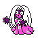 Jynx oro variocolor
