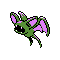 Zubat plata variocolor
