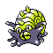 Omastar plata variocolor