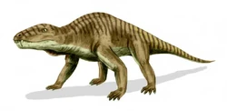 Titanophoneus BW.jpg