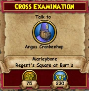 Cross Examination