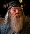 Albus Dumbledore.JPG