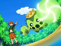 EP570 Gardenia y Cacnea