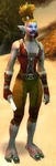 Sandfury Hideskinner
