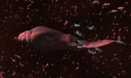 Space-dwelling lifeform