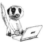 Wiki.png