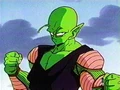 Piccolo3