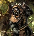 Ewok-SWGTCGAoD.jpg