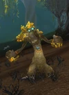 Sbirro(Druid)