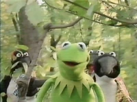 Nwf-penguins.jpg