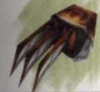 Tiger Fangs FFIX