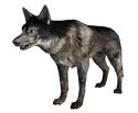 Dog FO3