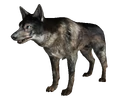 Dog FO3