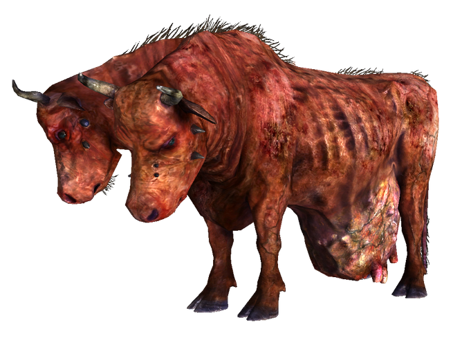 http://images2.wikia.nocookie.net/__cb20090708174008/fallout/images/thumb/2/2f/Brahmin_FO3.png/668px-Brahmin_FO3.png