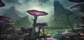 Felucia dawn.jpg