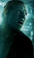Greyback poster.jpg