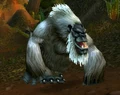Silverback Patriarch.jpg