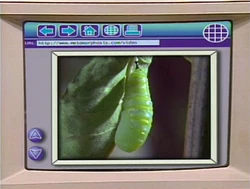 3896c