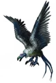 Dire condor.jpg