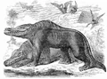 Goodrich Megalosaurus.jpg