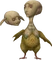 Oocca