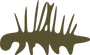The Cambrian Explosion
