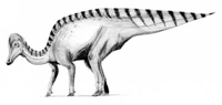 Corythosaurus2