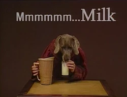 DogMilk
