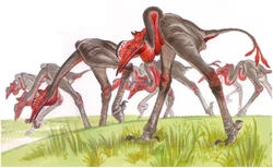 Stalking bird.jpg