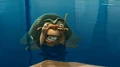Stu.JPG