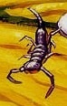 Unknown species 1