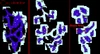 Leviathan Location