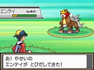 Encuentro con Entei