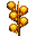 Aconite.png