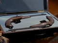 Trelane's dueling pistols.jpg