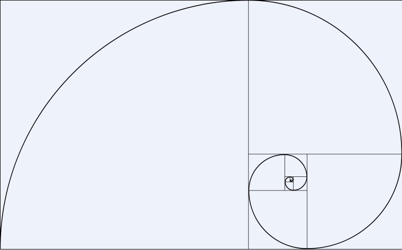 Fibonacci Spiral Real1.jpg