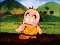 Krillin3