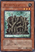 HedgeGuard-RGBT-JP-C