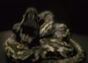 Nagini HBP 1