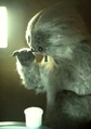 Muftak