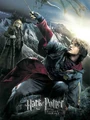 Harry-potter.gof.jpg