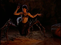 Arachne