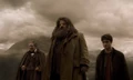 Slughornharryhagrid089.jpg