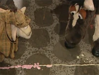 Folge2492-3