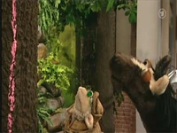 Folge2492-4