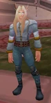 Dalaran Citizen